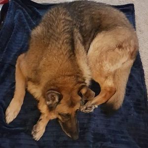 Meet your Posher, Candy